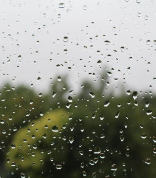 雨天,雨天爱好,雨天电影