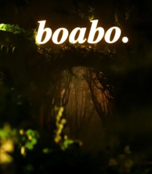 boabo,宝儿宝,新品发布会