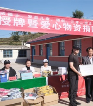 罗莱儿童,图书馆,公益行动
