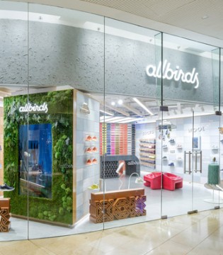Allbirds,鞋履品牌,E轮融资