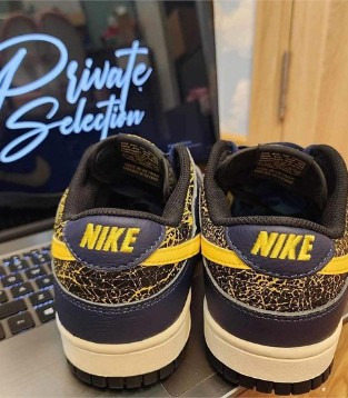 Nike Dunk Low,鞋款,时尚