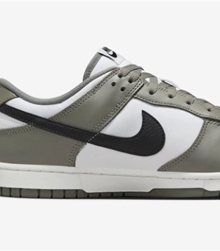 Nike Dunk Low,鞋款,时尚