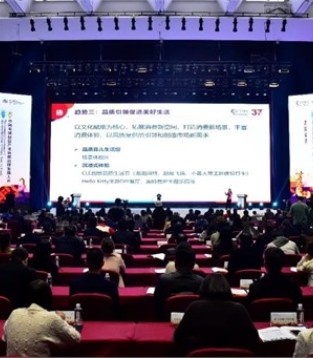 共商共建｜首届中国毛绒玩具产业新都品牌大会在安康举行