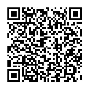 CBME为何非逛不可？七大必逛理由，为您揭晓答案！