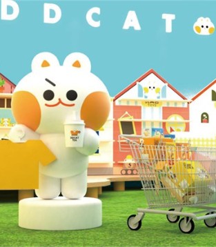 从需求到转化 叮当猫带你进入秋冬产品全周期布局