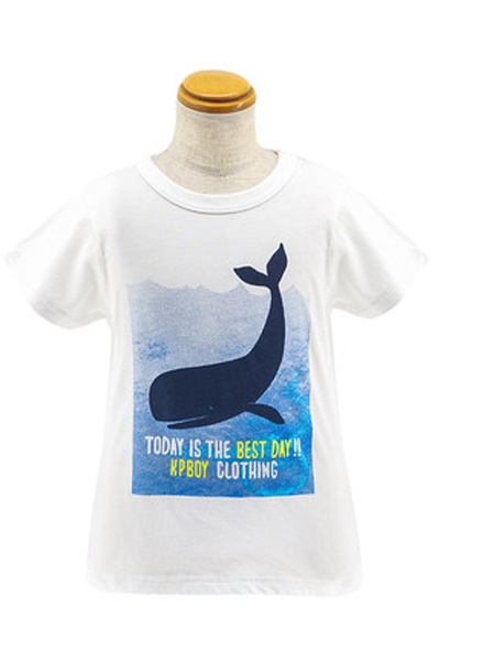 knitplanner童装品牌2021春夏潮流时尚海洋图案舒适穿棉短袖衬衫T恤上衣